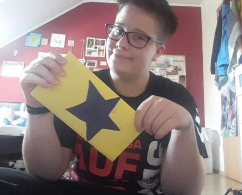 Lex Lewis Fan Star